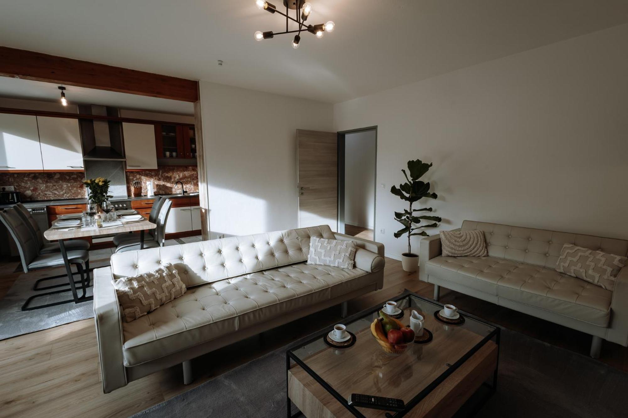 Stilvolles Appartement Mit Blick Auf Das Dreifluesse-Eck 帕绍 外观 照片